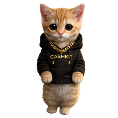 CashKit kitten in a black CASHKIT hoodie